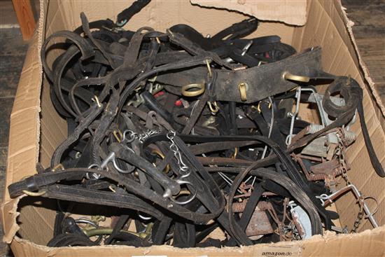 Large box of horse tackle(-)